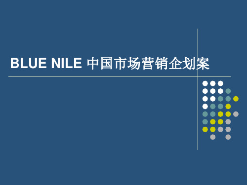 blue nile营销策略