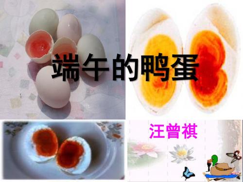 《端午的鸭蛋》 精品课件5