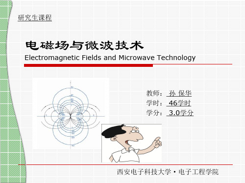 电磁场与微波技术-静电场唯一性定理ch3