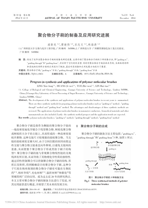 聚合物分子刷的制备及应用研究进展_凌新龙