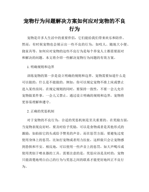 宠物行为问题解决方案如何应对宠物的不良行为