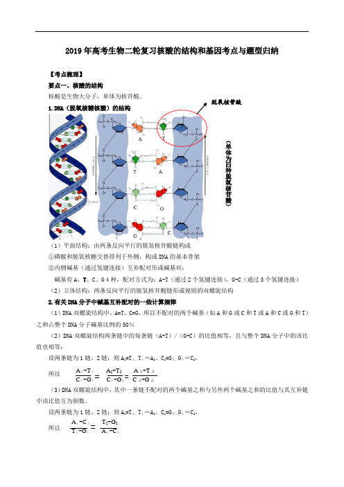 核酸的结构和基因考点与题型归纳