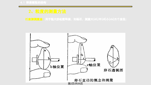 碎屑岩的结构及粒分析