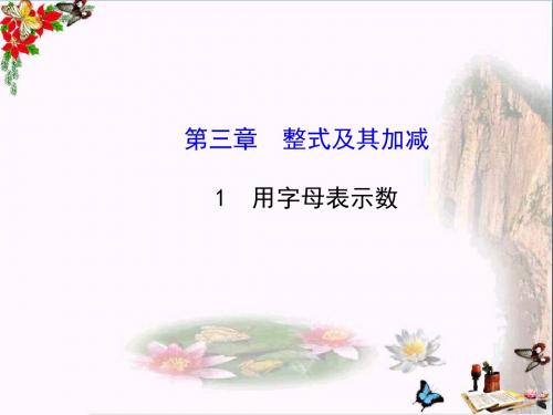 六年级数学上册3.1用字母表示数 优秀课件鲁教版五四制