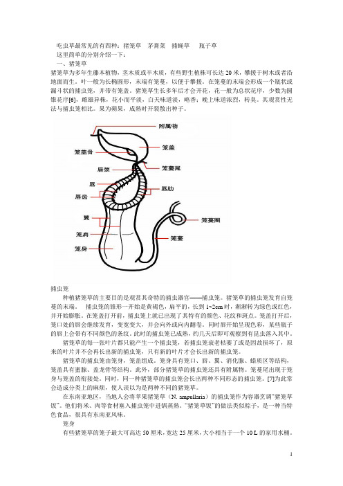 吃虫草(四种)资料