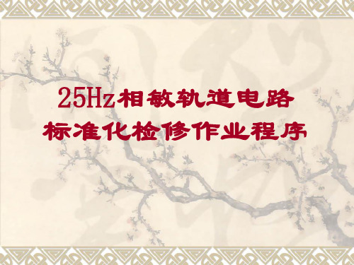 25HZ相敏轨道电路标准化检修作业程序课件总结