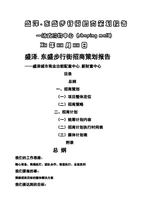 盛泽东盛步行街招商策划报告
