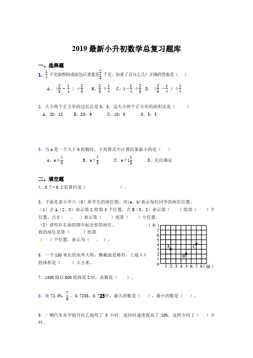 2019最新小升初数学总复习题库dhp