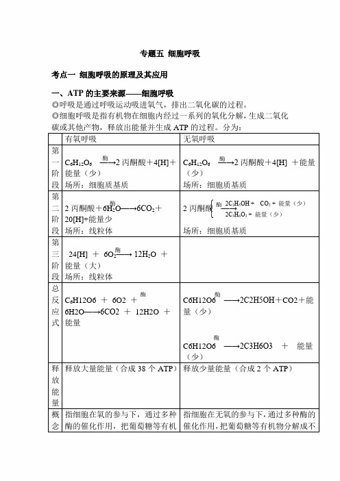 2020年高考生物必修必考知识详细解读讲义：专题五 细胞呼吸