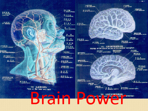 英语：选修7-unit21-human-biology-lesson2-brain-power课件2(北师大版)