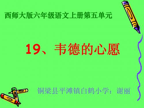 六年级语文上册课件韦德的心愿