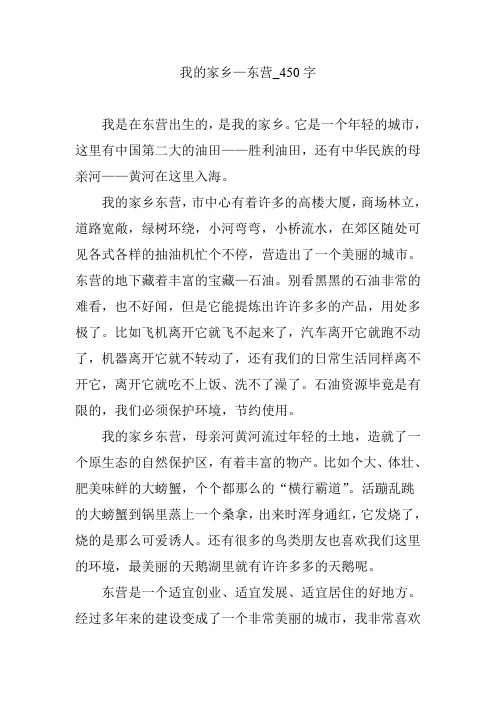 我的家乡—东营_450字