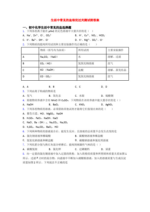 生活中常见的盐培优过关测试附答案