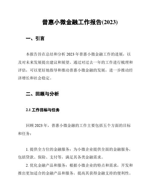 普惠小微金融工作报告(2023)