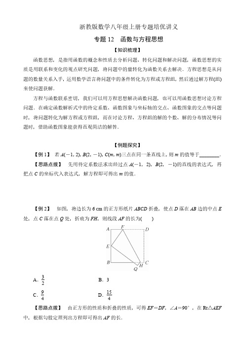 浙教版数学八年级上册专题培优讲义《专题12 函数与方程思想》