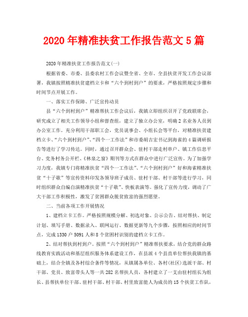 2020年精准扶贫工作报告范文5篇