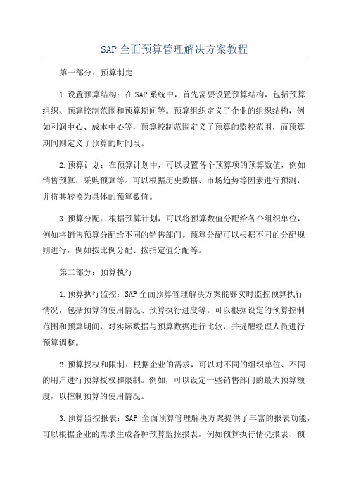 SAP全面预算管理解决方案教程