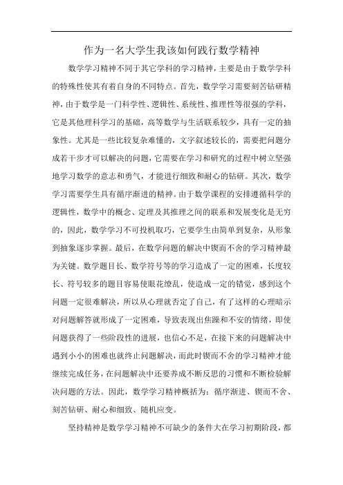 作为一名大学生我该如何践行数学精神