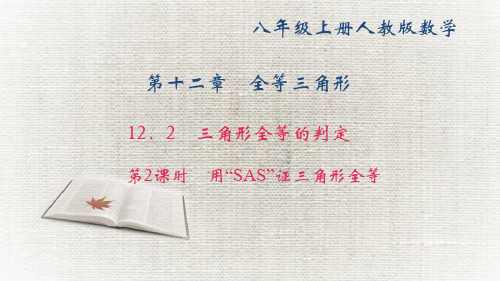 《用“SAS”证三角形全等》练习题