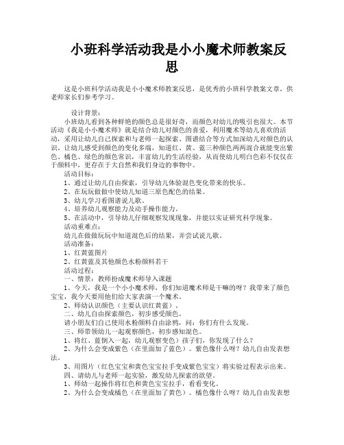 小班科学活动我是小小魔术师教案反思