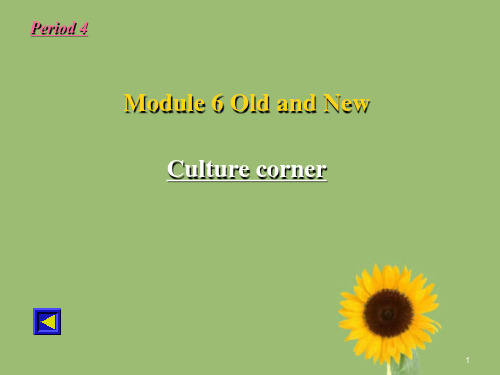 外研版高一英语必修3_Module6_Cultural_Corner课本同步精品课件