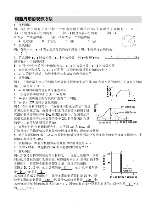 细胞周期的表示方法