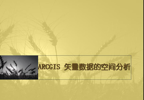 空 间 分 析-(13)ARCGIS中的矢量数据的空间分析