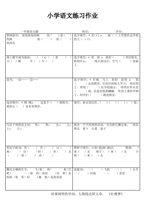 小学一年级语文分类过关VI (79)