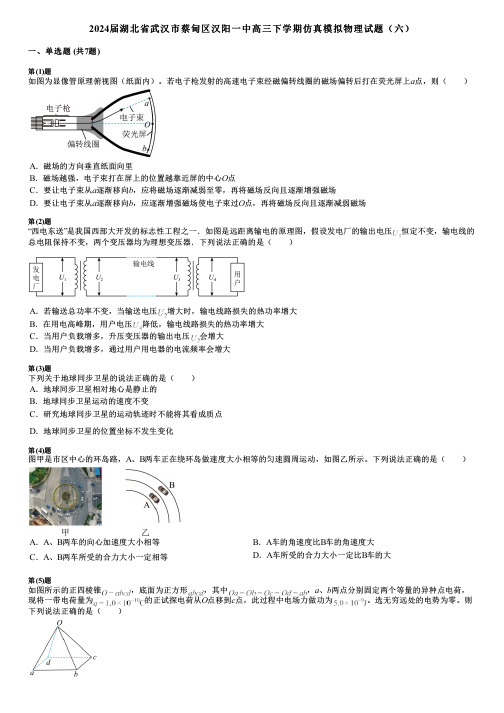 2024届湖北省武汉市蔡甸区汉阳一中高三下学期仿真模拟物理试题(六)