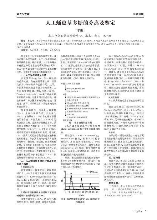 人工蛹虫草多糖的分离及鉴定