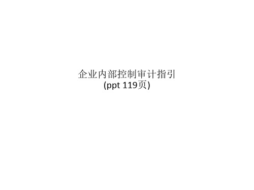 企业内部控制审计指引(ppt 119页)