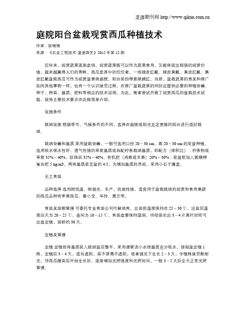 庭院阳台盆栽观赏西瓜种植技术