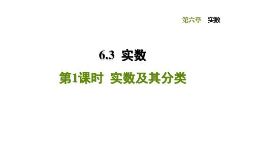 人教版七年级数学下册第6章习题课件6.3.1  实数及其分类