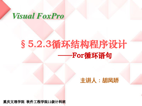 VFP-For循环语句解析