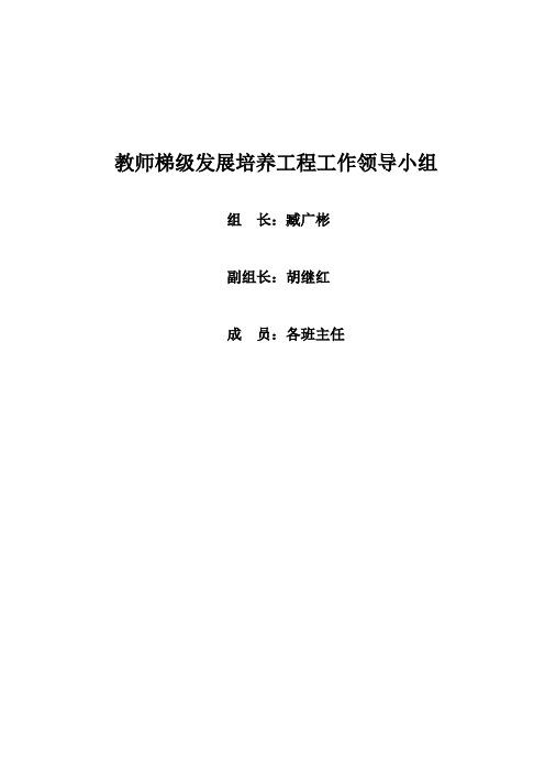 教师梯级发展培养工程计划