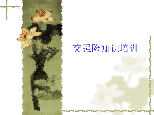 交强险培训