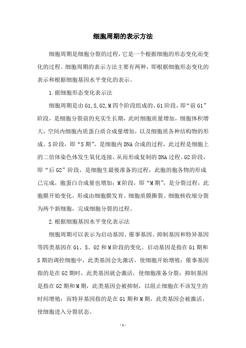 细胞周期的表示方法