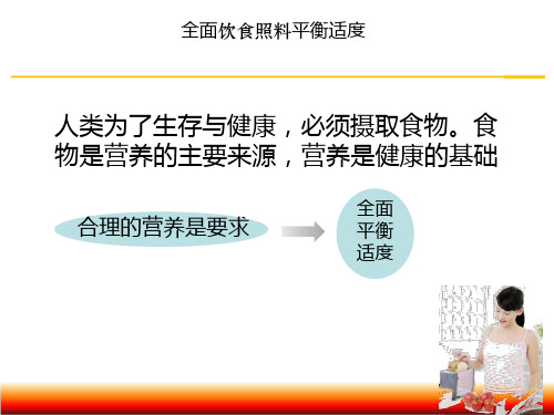 全面饮食照料平衡适度课件