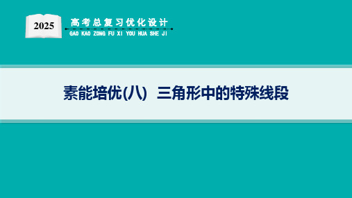 2025优化设计一轮素能培优(八)  三角形中的特殊线段