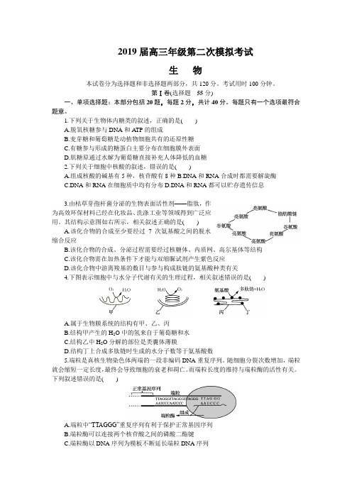 江苏省苏锡常镇四市2019届高三第二次模拟考试+生物+Word版含答案