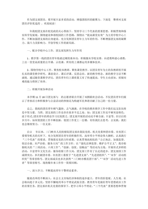 对支部团员评价优选