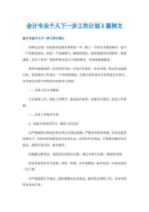 会计专业个人下一步工作计划5篇例文