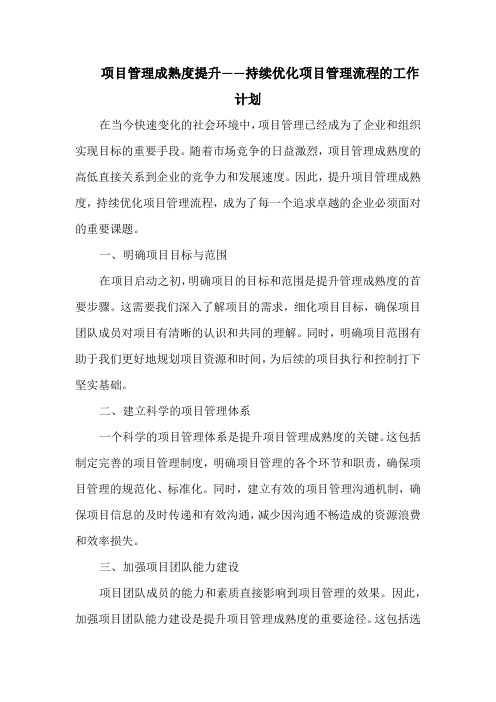 项目管理成熟度提升——持续优化项目管理流程的工作计划