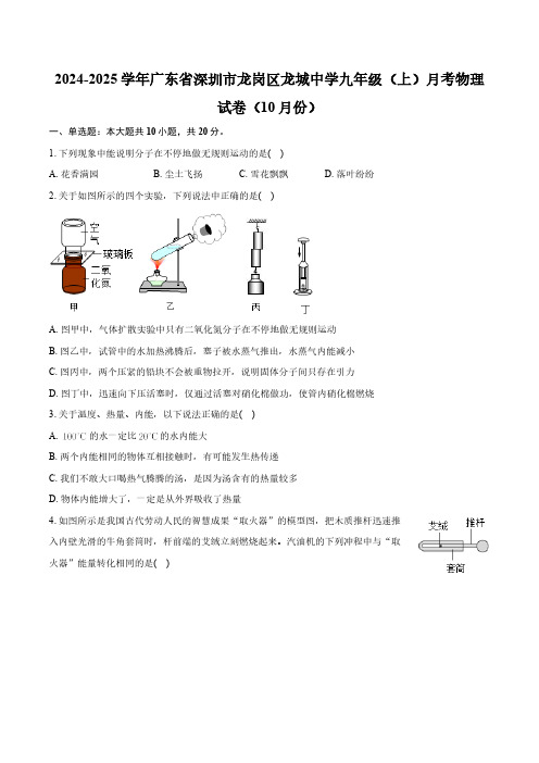 广东省深圳市龙岗区龙城中学2024-2025学年九年级上学期月考物理试卷(10月份)(含解析)