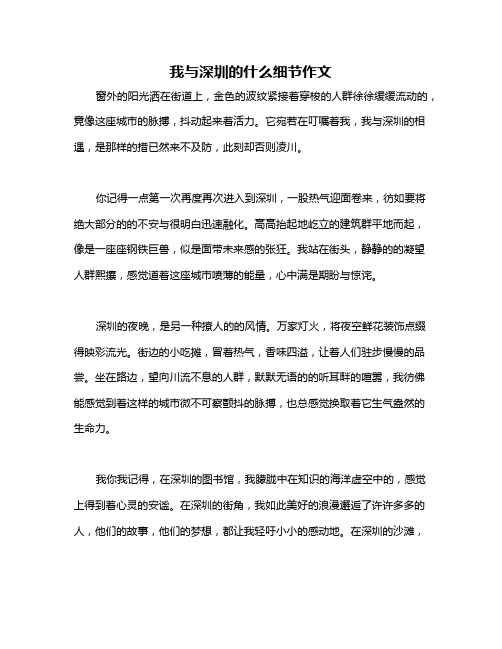 我与深圳的什么细节作文