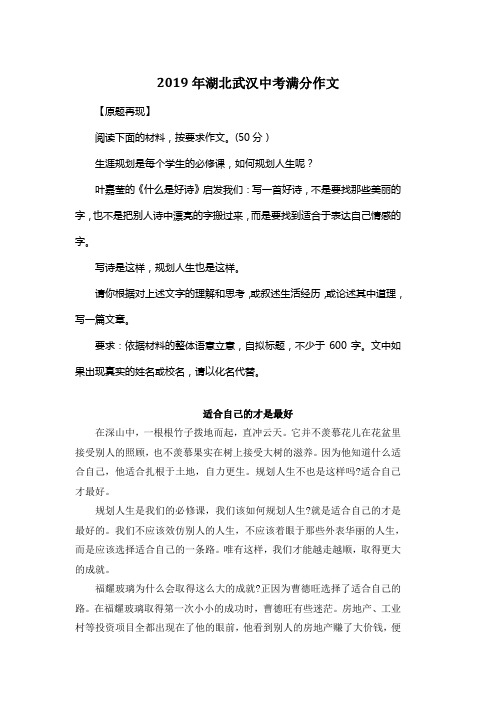 2019年湖北武汉中考满分作文《适合自己的才是最好》