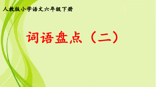 人教版六年级语文下册《二组  词语盘点》示范课课件_9