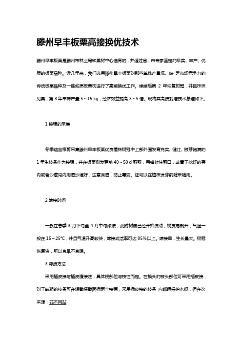 滕州早丰板栗高接换优技术