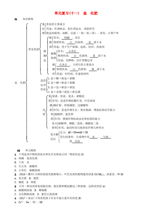 2019届九年级化学下册 第十一单元 盐 化肥 单元复习(十一)盐 化肥同步测试(含18年真题)