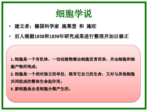 1.2细胞的多样性和统一性 课件  (39张PPT)